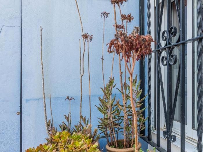 Apartamento Susillo Vacacional Sevilla Dış mekan fotoğraf